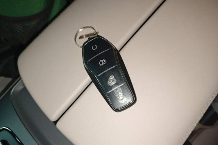 Used BYD Tang New Energy 2024 DM-i Glory Edition 112KM Prestige Model Interior 1