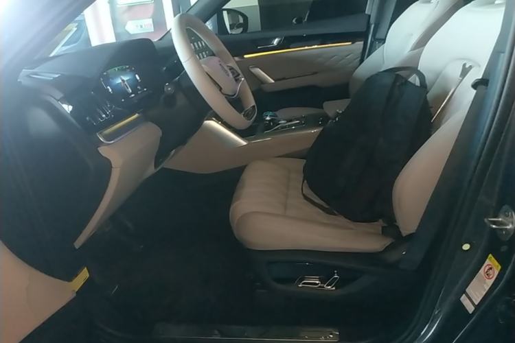 Used BYD Tang New Energy 2024 DM-i Glory Edition 112KM Prestige Model Left Front Seat