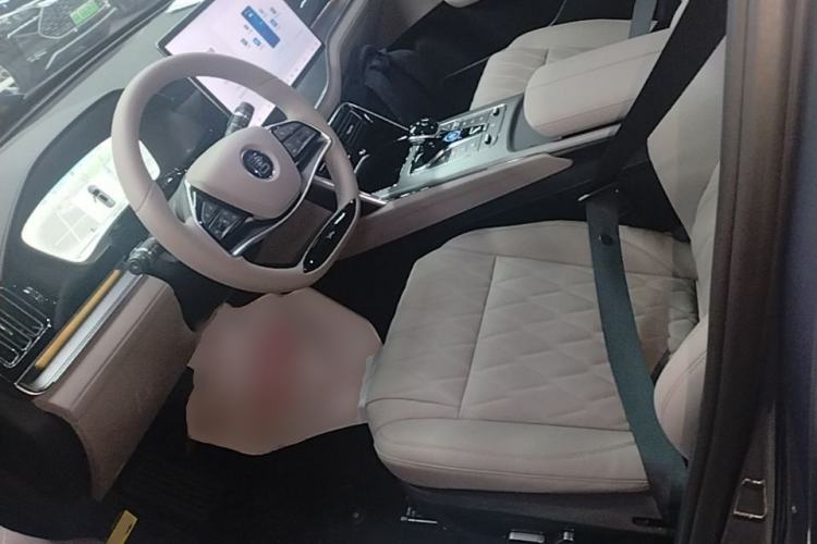 Used BYD Tang New Energy 2024 DM-i Glory Edition 112KM Prestige Model Left Front Seat