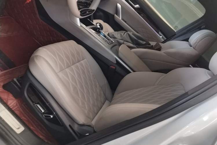 Used BYD Tang New Energy 2024 DM-i Glory Edition 112KM Prestige Model Left Front Seat