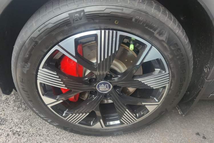 Used BYD Tang New Energy 2024 DM-p Champion Edition 215 km All-Wheel-Drive Flagship Model Left Front Wheel Hub