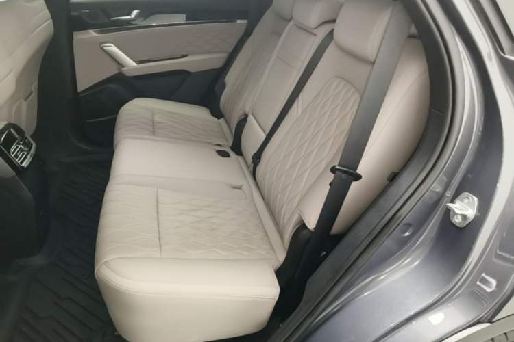 Used BYD Tang New Energy 2024 DM-i Glory Edition 112KM Flagship Model Left Rear Seat