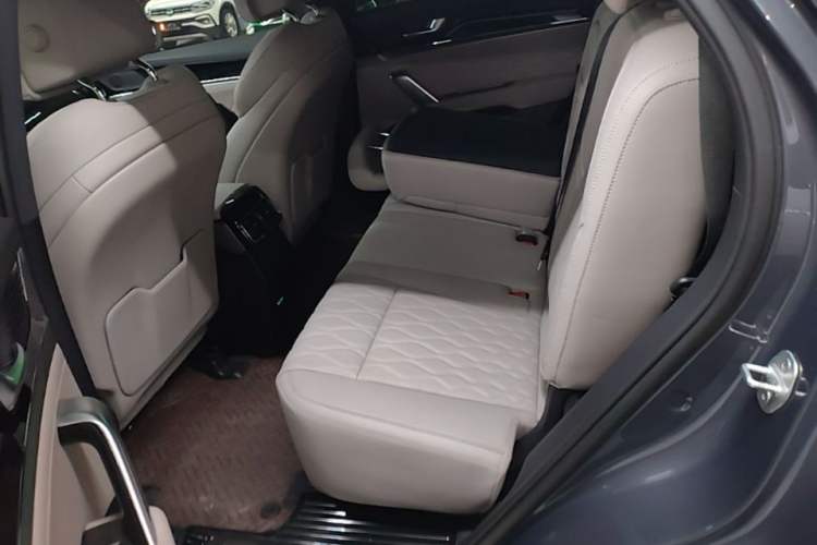 Used BYD Tang New Energy 2024 DM-i Glory Edition 112KM Flagship Model Left Rear Seat
