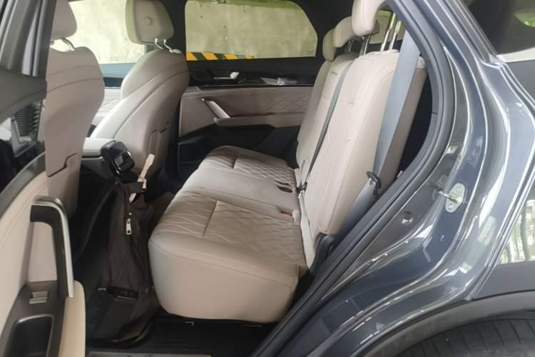 Used BYD Tang New Energy 2024 DM-p Champion Edition 215 km All-Wheel-Drive Flagship Model Left Rear Seat