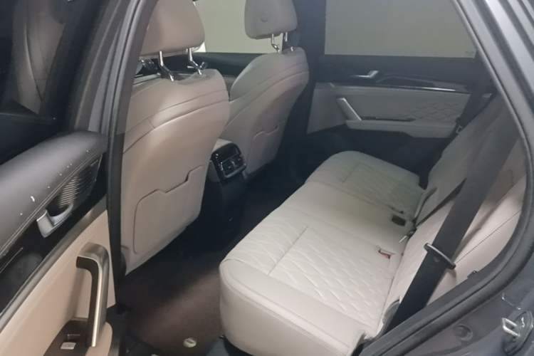 Used BYD Tang New Energy 2024 DM-i Glory Edition 112KM Flagship Model Left Rear Seat