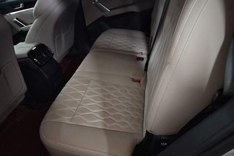 Used BYD Tang New Energy 2024 DM-i Glory Edition 112KM Prestige Model Left Rear Seat