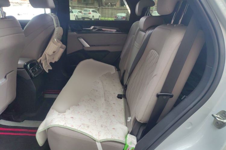 Used BYD Tang New Energy 2024 DM-i Glory Edition 112KM Prestige Model Left Rear Seat