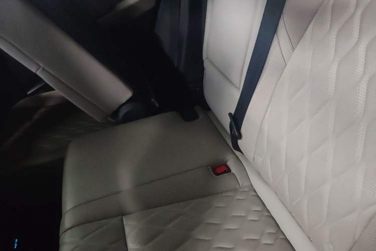 Used BYD Tang New Energy 2024 DM-p Champion Edition 215 km All-Wheel-Drive Flagship Model Left Rear Seat
