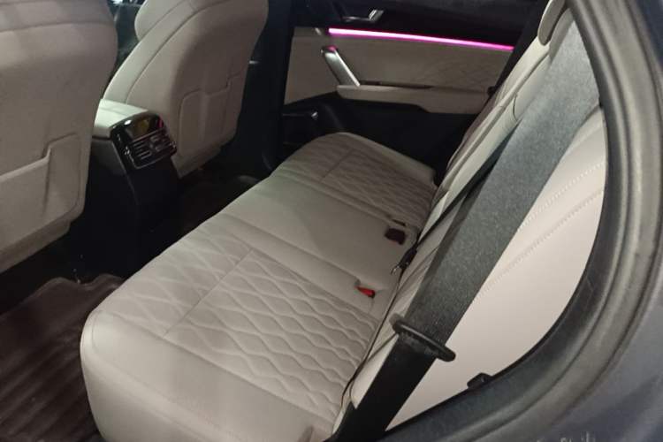 Used BYD Tang New Energy 2024 DM-i Glory Edition 112KM Prestige Model Left Rear Seat