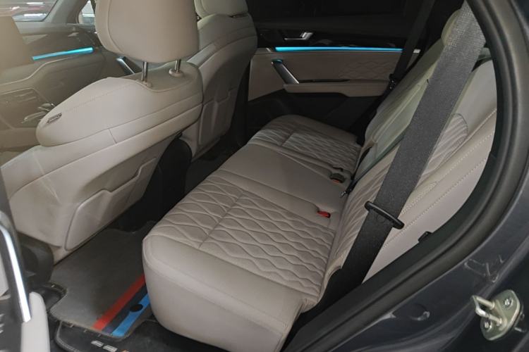 Used BYD Tang New Energy 2024 DM-i Champion Edition 200KM Deluxe Model Left Rear Seat