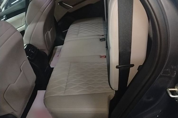 Used BYD Tang New Energy 2024 DM-i Glory Edition 112KM Prestige Model Left Rear Seat