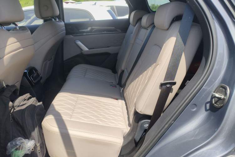 Used BYD Tang New Energy 2024 EV Champion Edition 730KM Deluxe Model Left Rear Seat
