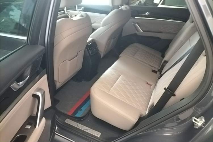 Used BYD Tang New Energy 2024 DM-i Glory Edition 200KM Flagship Model Left Rear Seat