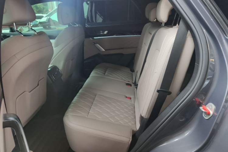 Used BYD Tang New Energy 2024 DM-p Champion Edition 215 km All-Wheel-Drive Flagship Model Left Rear Seat