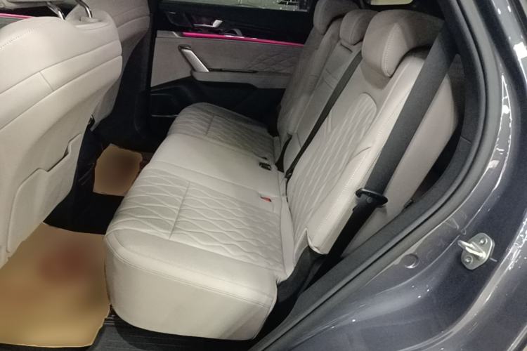Used BYD Tang New Energy 2024 DM-p Champion Edition 215 km All-Wheel-Drive Flagship Model Left Rear Seat