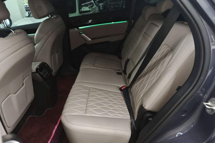 Used BYD Tang New Energy 2024 DM-i Glory Edition 112KM Flagship Model Left Rear Seat