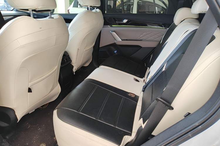 Used BYD Tang New Energy 2024 DM-i Glory Edition 112KM Prestige Model Left Rear Seat