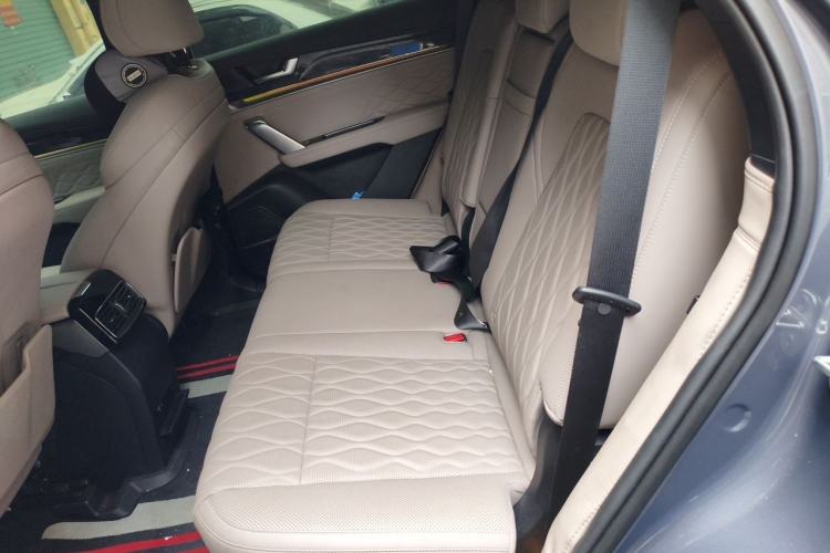 Used BYD Tang New Energy 2024 DM-i Glory Edition 112KM Prestige Model Left Rear Seat
