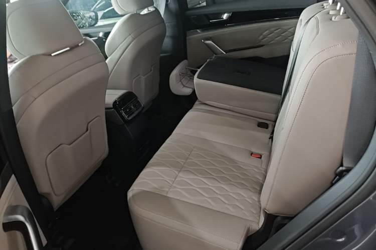 Used BYD Tang New Energy 2024 DM-i Glory Edition 112KM Prestige Model Left Rear Seat