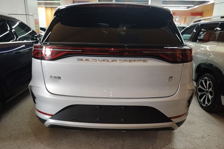 Used BYD Tang New Energy 2024 DM-i Glory Edition 112KM Prestige Model Rear