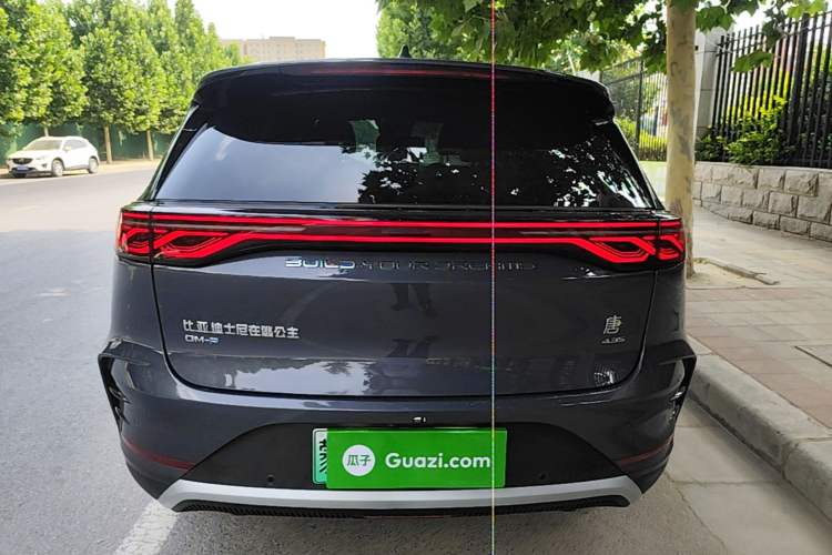 Used BYD Tang New Energy 2024 DM-p Champion Edition 215KM Four-Wheel Drive Deluxe Model Rear