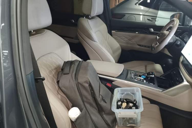 Used BYD Tang New Energy 2024 DM-p Champion Edition 215 km All-Wheel-Drive Flagship Model Right Front Seat