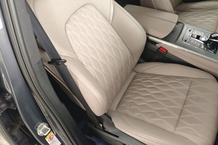 Used BYD Tang New Energy 2024 DM-i Glory Edition 112KM Prestige Model Right Front Seat