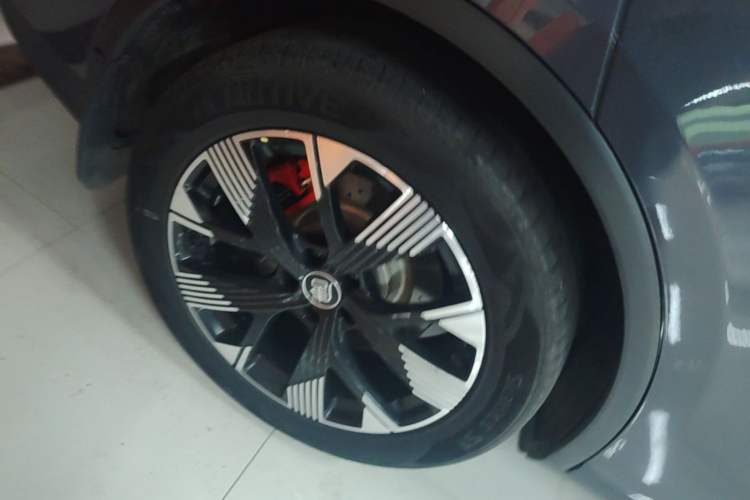 Used BYD Tang New Energy 2024 DM-p Champion Edition 215 km All-Wheel-Drive Flagship Model Right Rear Wheel Hub