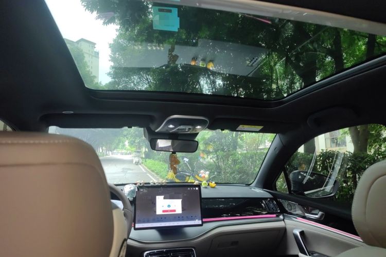 Used BYD Tang New Energy 2024 DM-i Glory Edition 112KM Prestige Model Headliner