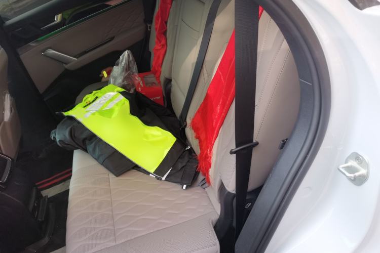 Used BYD Tang New Energy 2024 EV Glory Edition 600KM Premium Model Left Rear Seat