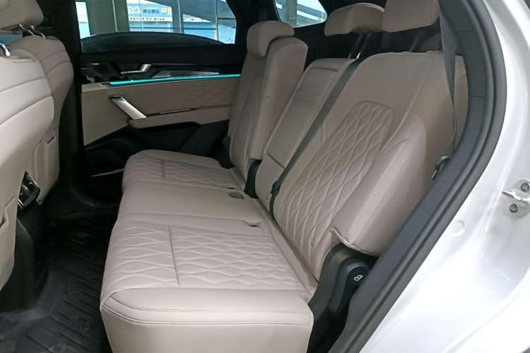 Used BYD Tang New Energy 2024 DM-i Glory Edition 200KM Flagship Model Left Rear Seat