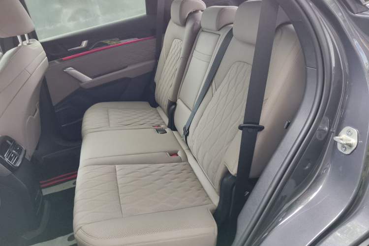 Used BYD Tang New Energy 2024 DM-i Glory Edition 112KM Prestige Model Left Rear Seat