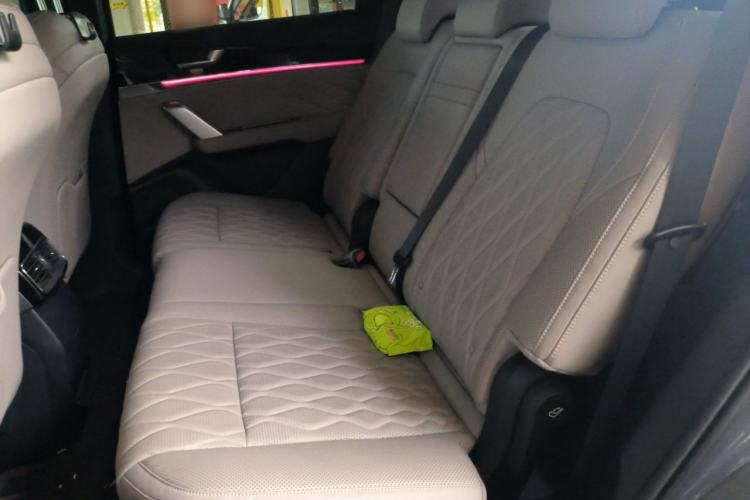 Used BYD Tang New Energy 2024 DM-i Glory Edition 112KM Prestige Model Left Rear Seat