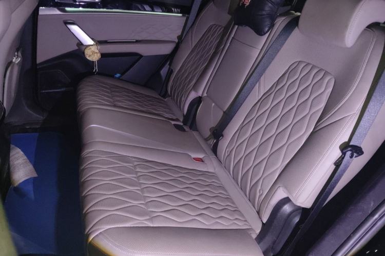 Used BYD Tang New Energy 2024 DM-p Champion Edition 215 km All-Wheel-Drive Flagship Model Left Rear Seat