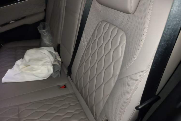 Used BYD Tang New Energy 2024 DM-i Glory Edition 112KM Flagship Model Left Rear Seat