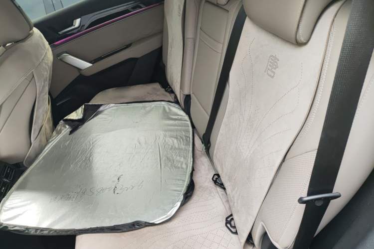Used BYD Tang New Energy 2024 DM-i Glory Edition 112KM Prestige Model Left Rear Seat