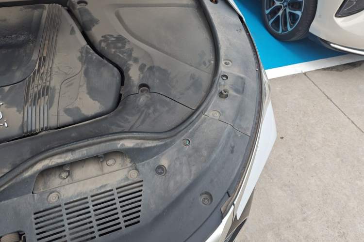 Used BYD Tang New Energy 2024 DM-i Glory Edition 112KM Prestige Model Engine Bay Left
