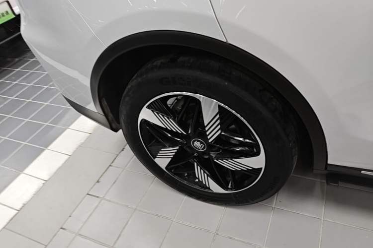 Used BYD Tang New Energy 2024 DM-i Glory Edition 112KM Prestige Model Exterior 5