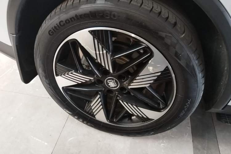 Used BYD Tang New Energy 2024 DM-i Glory Edition 112KM Prestige Model Exterior 5