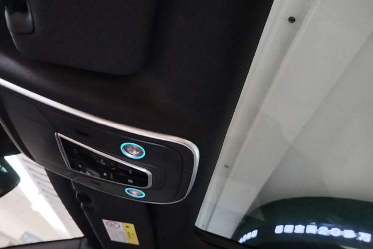 Used BYD Tang New Energy 2024 DM-i Glory Edition 112KM Prestige Model Headliner