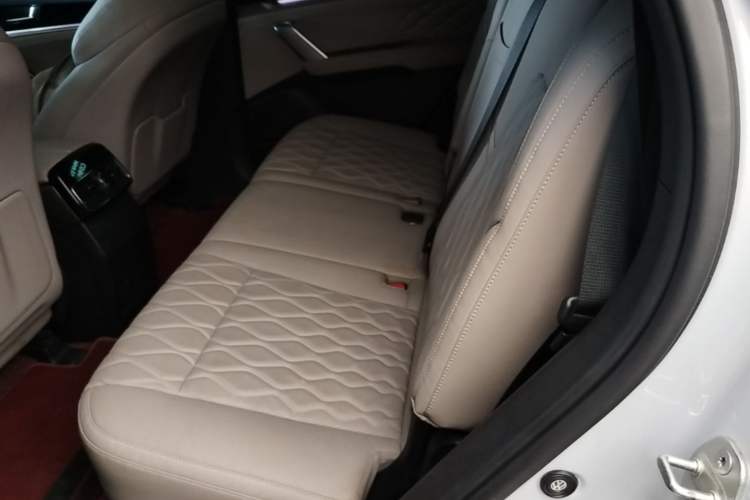 Used BYD Tang New Energy 2024 DM-i Glory Edition 112KM Prestige Model Left Rear Seat