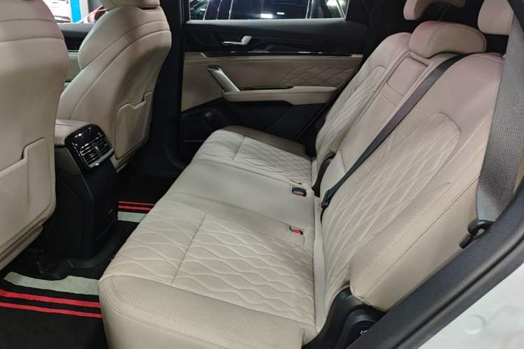 Used BYD Tang New Energy 2024 DM-i Glory Edition 112KM Prestige Model Left Rear Seat