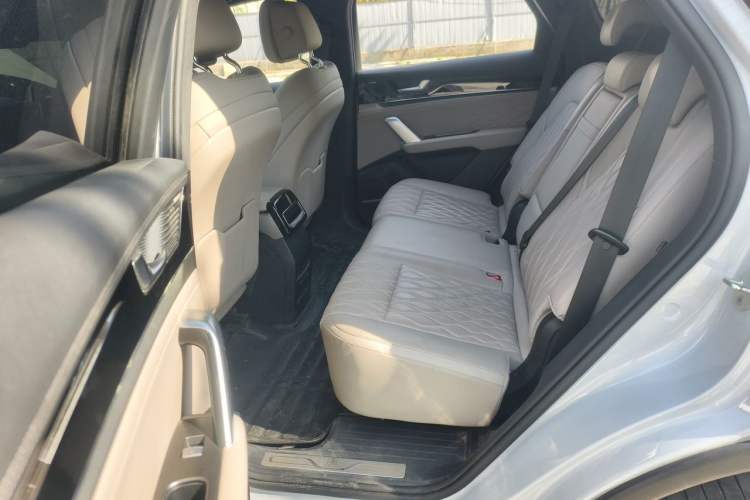 Used BYD Tang New Energy 2024 EV Glory Edition 730KM Premium Model Left Rear Seat