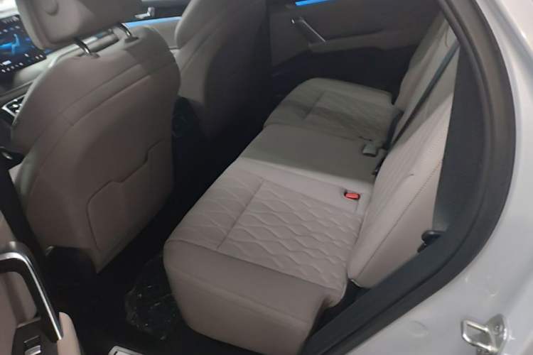 Used BYD Tang New Energy 2024 DM-i Glory Edition 112KM Flagship Model Left Rear Seat