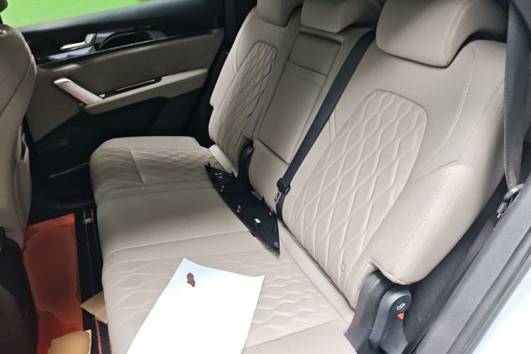 Used BYD Tang New Energy 2024 DM-i Glory Edition 112KM Prestige Model Left Rear Seat