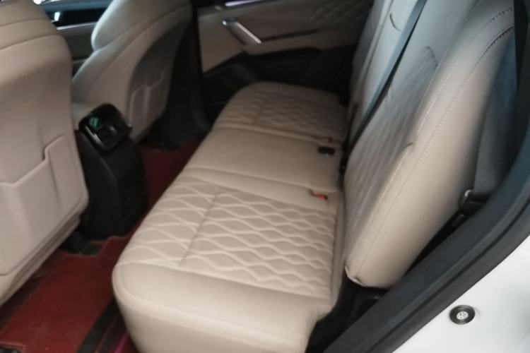 Used BYD Tang New Energy 2024 DM-i Glory Edition 112KM Prestige Model Left Rear Seat