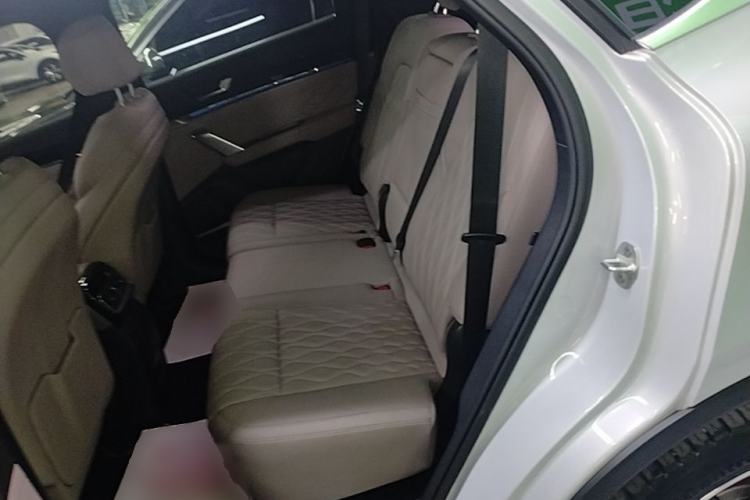 Used BYD Tang New Energy 2024 DM-i Glory Edition 112KM Prestige Model Left Rear Seat