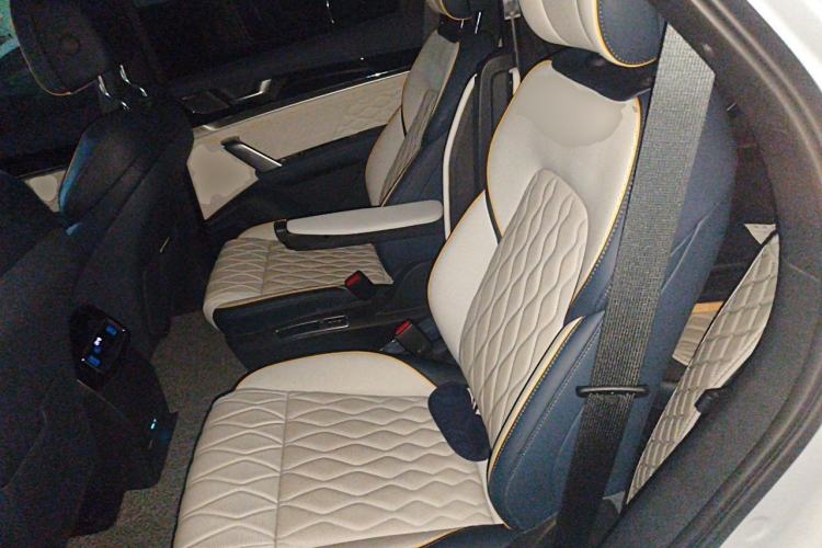 Used BYD Tang New Energy 2024 EV Champion Edition 730KM Deluxe Model Left Rear Seat