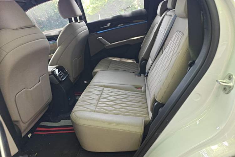 Used BYD Tang New Energy 2024 DM-i Glory Edition 112KM Prestige Model Left Rear Seat