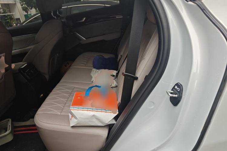 Used BYD Tang New Energy 2024 DM-i Glory Edition 200KM Flagship Model Left Rear Seat